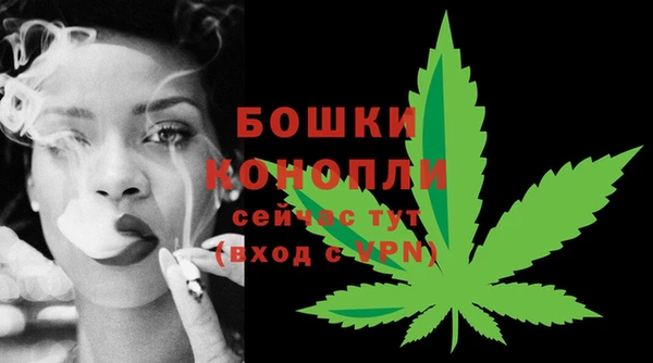 молекула духа Каменск-Шахтинский
