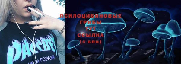 хмурый Карталы