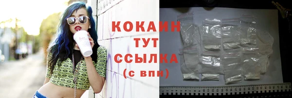 молекула духа Каменск-Шахтинский