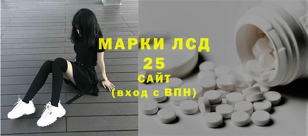 молекула духа Каменск-Шахтинский