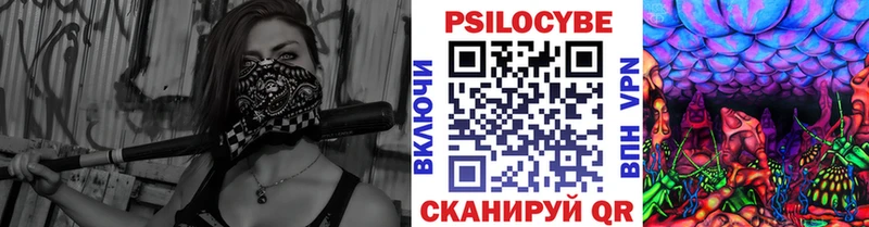 Псилоцибиновые грибы Psilocybine cubensis  Купить закладки  Верещагино 